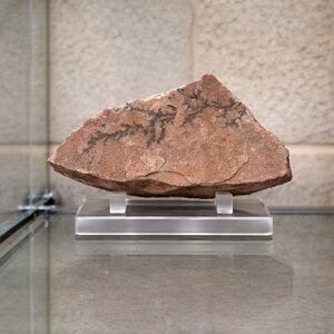 Natural Brown Stone Sculpture - Home Art Accent